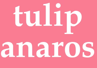 Synonym tulipanaros