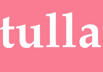 Synonym tulla