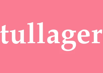 Synonym tullager