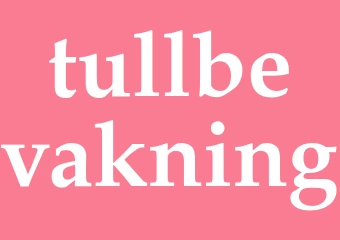 Synonym tullbevakning