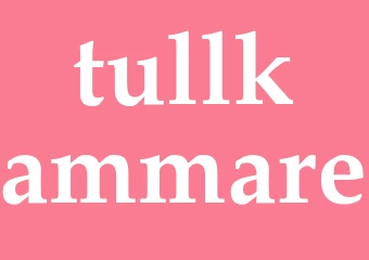 Synonym tullkammare