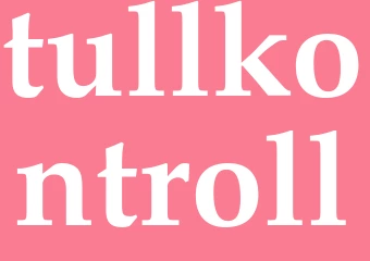 Synonym tullkontroll