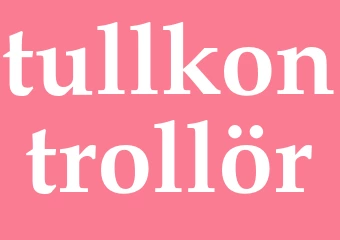 Synonym tullkontrollör