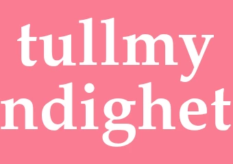 Synonym tullmyndighet