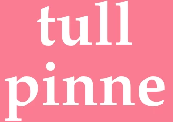 Synonym tullpinne