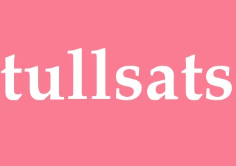 Synonym tullsats
