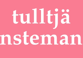 Synonym tulltjänsteman