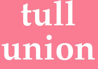 Synonym tullunion