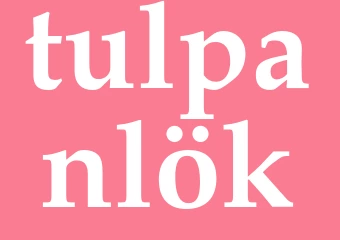 Synonym tulpanlök