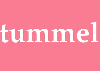 Synonym tummel