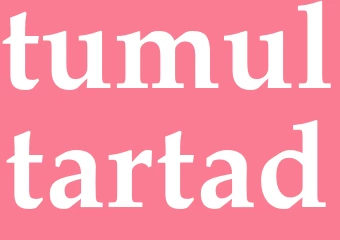 Synonym tumultartad