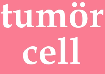 Synonym tumörcell