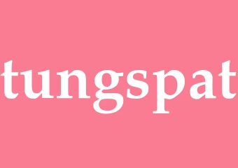 Synonym tungspat
