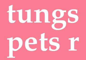 Synonym tungspets-r