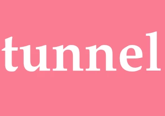 Synonym tunnel
