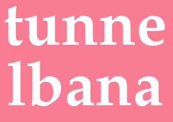 Synonym tunnelbana