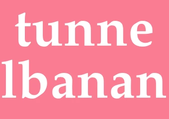 Synonym tunnelbanan