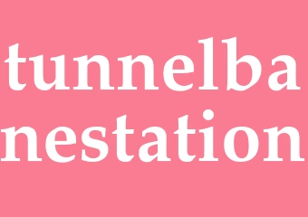 Synonym tunnelbanestation