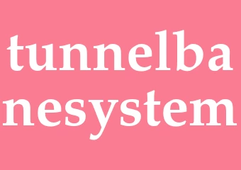 Synonym tunnelbanesystem