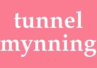 Synonym tunnelmynning