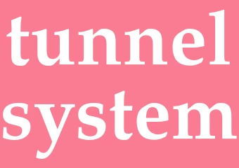 Synonym tunnelsystem