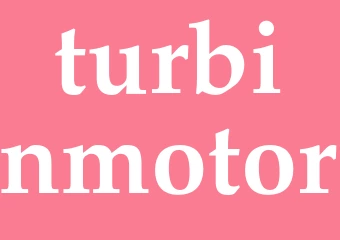 Synonym turbinmotor