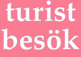 Synonym turistbesök