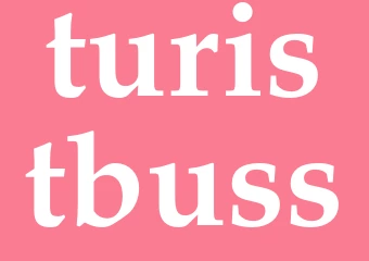 Synonym turistbuss