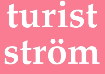 Synonym turistström