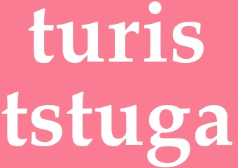 Synonym turiststuga