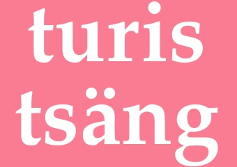 Synonym turistsäng