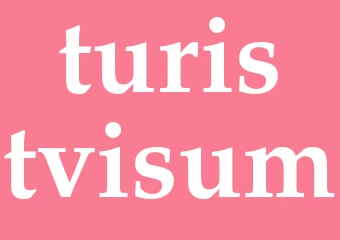 Synonym turistvisum