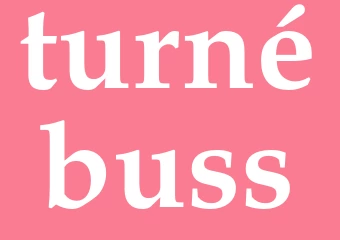Synonym turnébuss