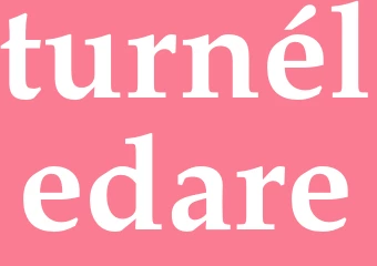 Synonym turnéledare