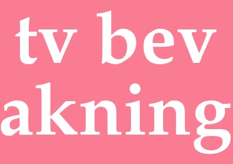 Synonym tv-bevakning