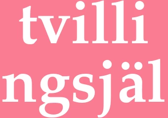 Synonym tvillingsjäl