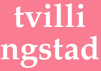 Synonym tvillingstad