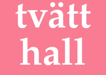 Synonym tvätthall