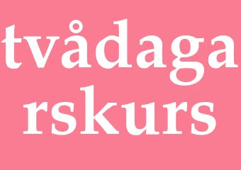Synonym tvådagarskurs