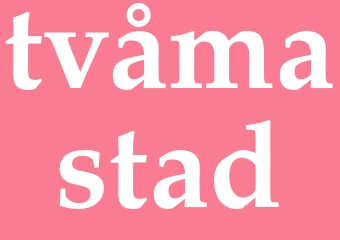 Synonym tvåmastad