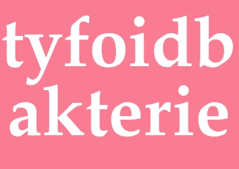 Synonym tyfoidbakterie