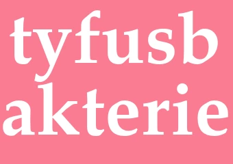 Synonym tyfusbakterie