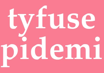 Synonym tyfusepidemi