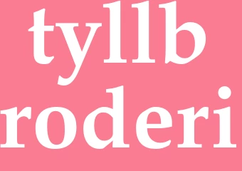 Synonym tyllbroderi