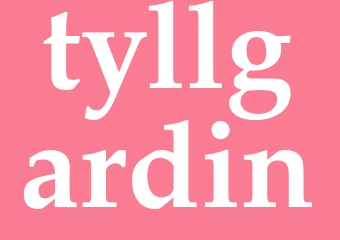 Synonym tyllgardin