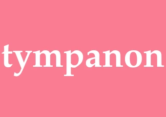Synonym tympanon