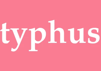 Synonym typhus