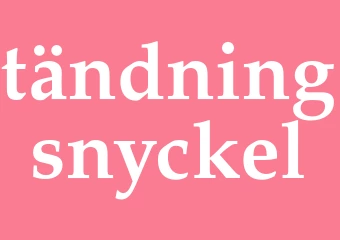 Synonym tändningsnyckel