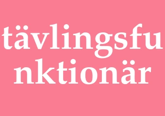 Synonym tävlingsfunktionär