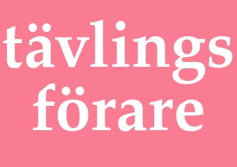 Synonym tävlingsförare